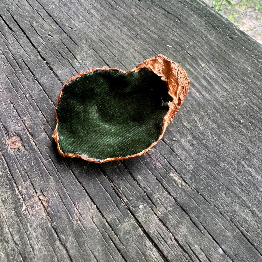 Free- Handcrafted Copper and Green Velvet seashell